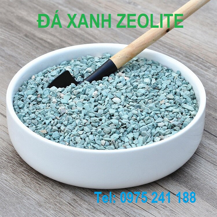 Đá xanh Zeolite trồng sen đá