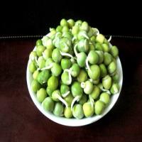 Những thực phẩm tốt cho sức khỏe theo xu hướng 2017