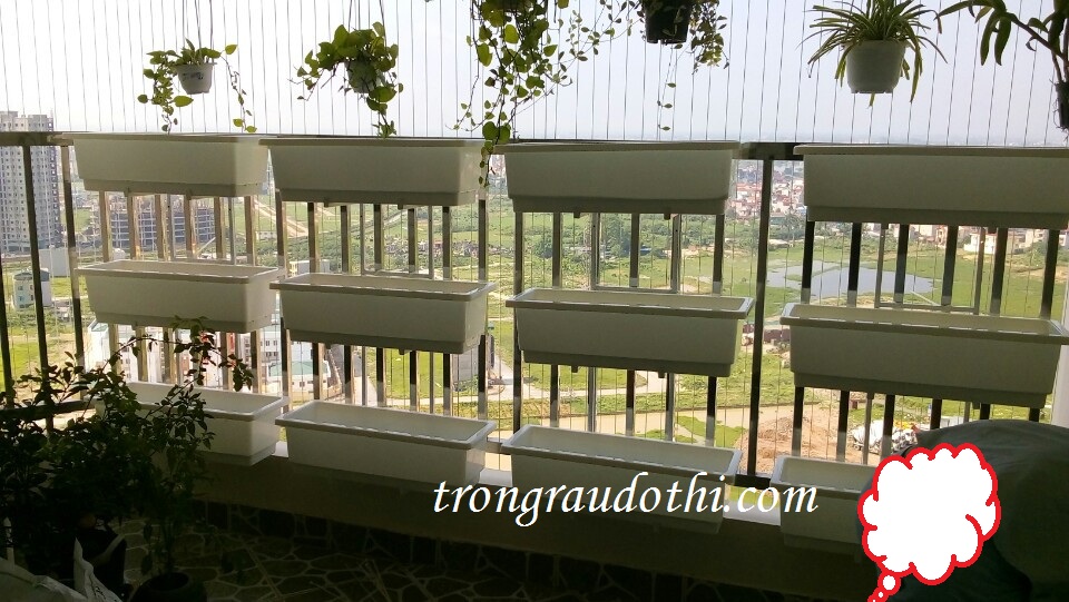 Kệ trồng rau 3 tầng lắp tại chung cư HH2D Dương Nội