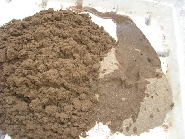 Trồng rau mầm trên cát và giá thể tự làm - Có thể nhiễm độc