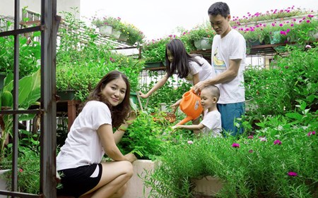 Bí quyết trồng rau sạch ở ban công đủ ăn quanh năm cho cả gia đình