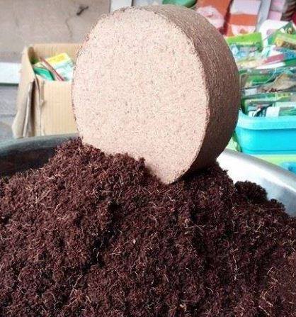 Đất sạch mụn dừa ép bánh (khoảng 500gram)