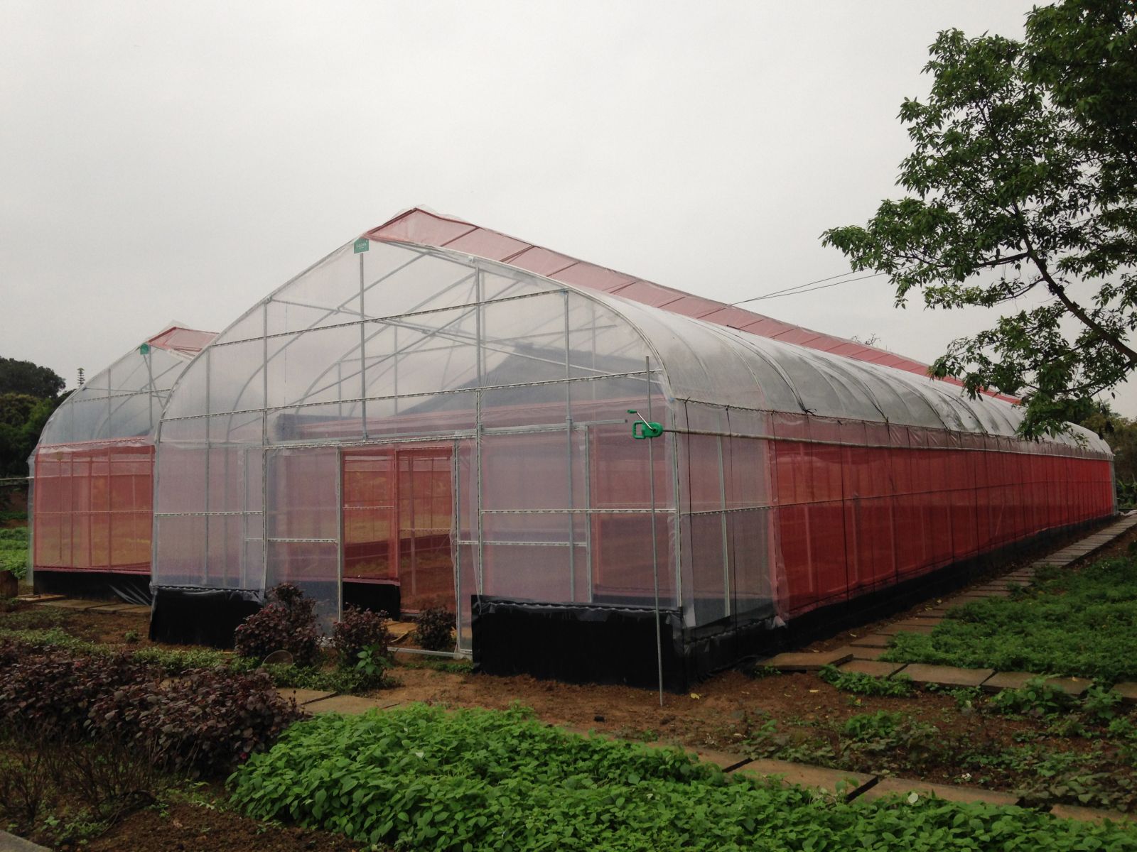 Thiết bị nhà kính