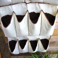 Trồng rau sạch trong túi vải