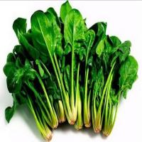 6 lợi ích quan trọng từ cải bó xôi