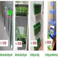 Cung cấp vật tư trồng rau sạch tại nhà