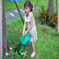 9 nguyên tắc tưới cây cơ bản