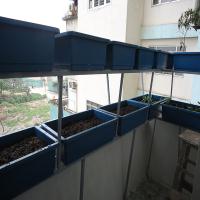 Khu vườn nhỏ trên ban công 3m2 - Khó hay dễ?