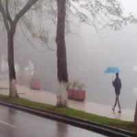 Chăm sóc rau mùa  nồm ẩm kéo dài