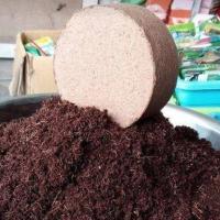 Đất sạch mụn dừa ép bánh