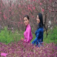 Chương trình bán hàng tết Kỷ Hợi