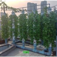 Lắp đặt trụ trồng rau khí canh - dịch vụ chuyên nghiệp