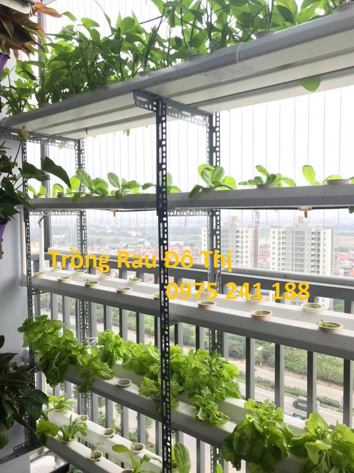 Giàn trồng rau thủy canh ban công 4M | Trồng Rau Đô Thị