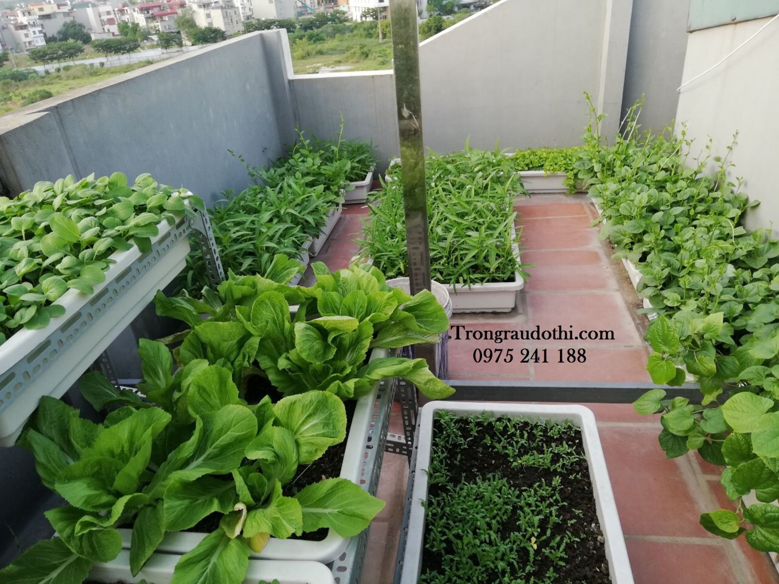 Kệ trồng rau bậc thang 3 tầng 9 chậu