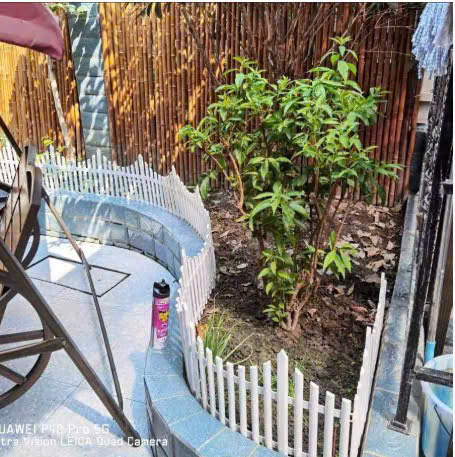 Hàng rào trang trí phong cách Châu Âu