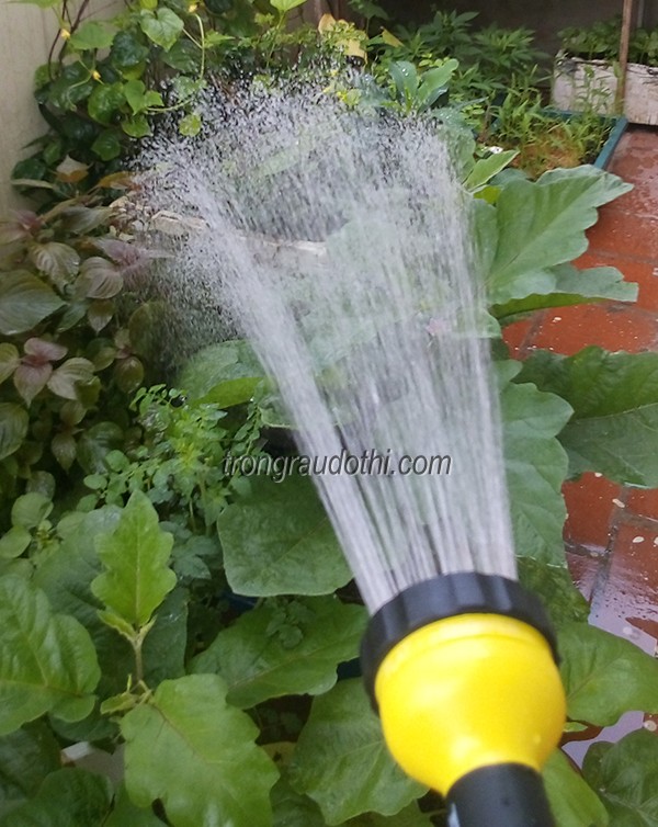 Vòi tưới cây Bosi, tùy chỉnh Shower: Dùng để tưới thông thường