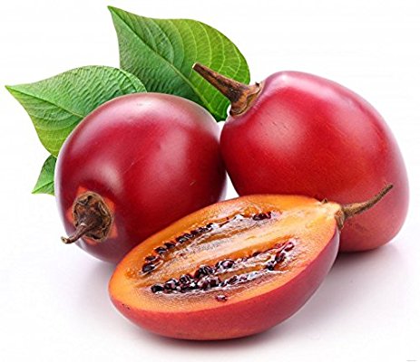 Cà chua thân gỗ trái đỏ