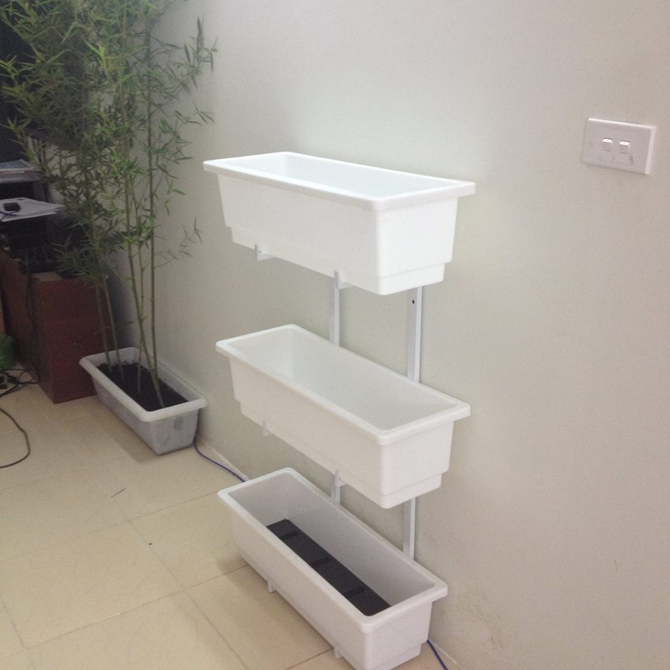 kệ trồng rau ban công chung cư - Ảnh 1