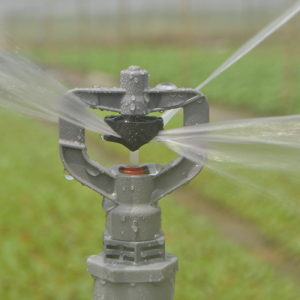 Hệ thống tưới phun mưa