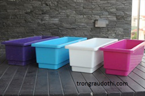 Chậu trồng rau thông minh màu trắng