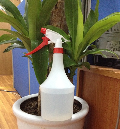 Bình tưới phun sương