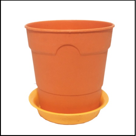 Chậu cốc trồng hoa để bàn