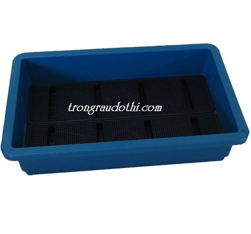 Chậu thông minh xanh sâu, chậu trồng rau sạch cỡ lớn màu xanh dương