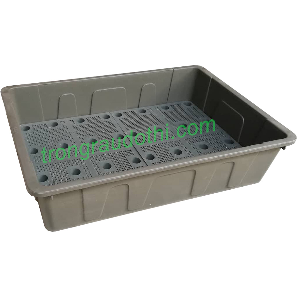 Thùng trồng rau Aquaponics loại nông - Ảnh 1