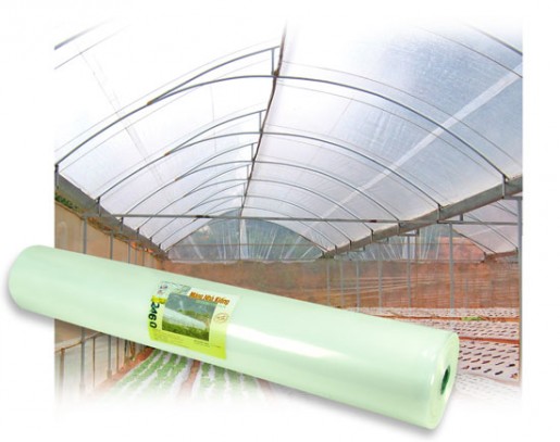 Màng kính Ginegar Isarel - Ảnh 1