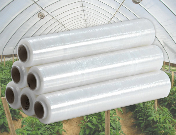 Màng kính Việt công nghệ Hàn Quốc