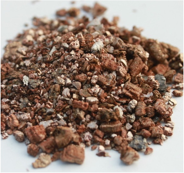 Đá Vermiculite (Đá khoáng Vơ mi) - Ảnh 1
