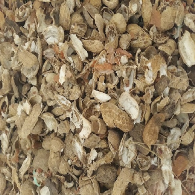 Vỏ lạc trồng cây, vỏ lạc giá tốt - trồng cây bằng vỏ lạc - Ảnh 1