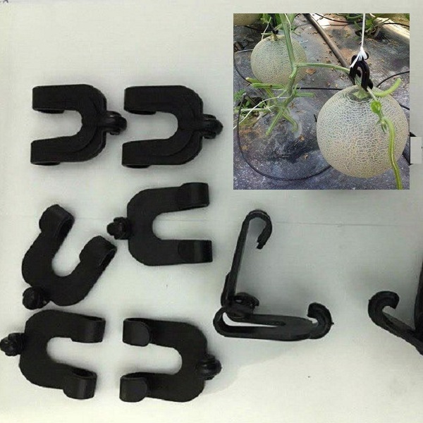 Set 50 cái móc treo quả, móc treo dưa lưới