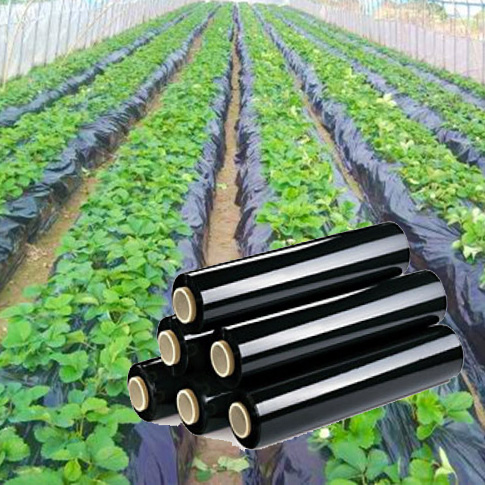 màng phủ luống 16 mic giá rẻ ngăn ngừa cỏ dại, 2 mặt đen và nhũ - Ảnh 1