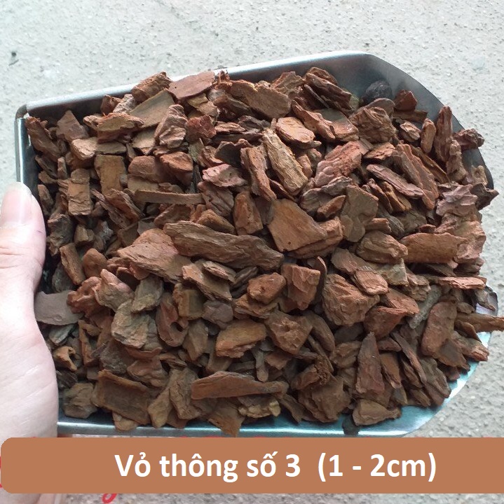 Vỏ thông số 3 đã xử lý size 1-2cm trồng Lan Kiều, Dendro, Thủy tiên