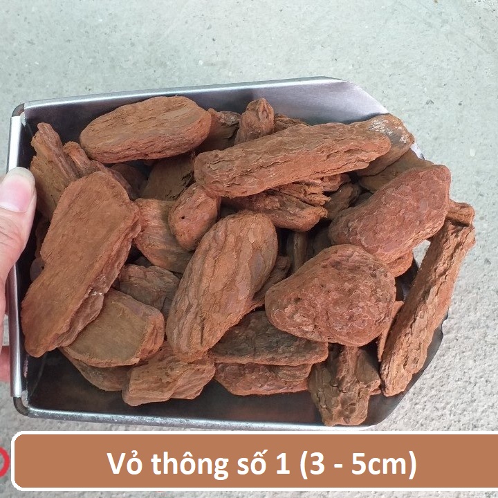Vỏ thông trồng lan số 1 trồng lan hỏa hoàng, lan hải yến - Ảnh 1