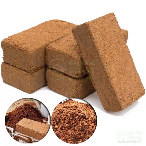 Mùn dừa ép hình viên gạch 600gram, đã xử lý, ngâm nước để sử dụng