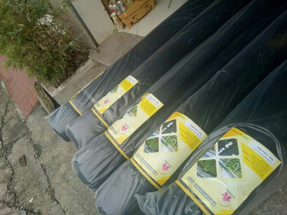 Lưới che nắng Đài Loan sợi tròn 2mx50m đen, độ che phủ 70%