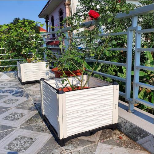 Chậu ghép trồng rau 50x50x39 màu trắng, hình vuông rất bền