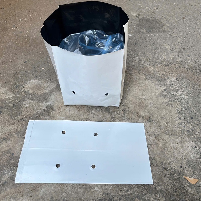 Túi PE 17x33cm Trồng dưa lưới 2 lớp trắng đen bóng đẹp