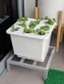 Bộ Thùng Nhựa Trồng Rau Thủy Canh 9 lỗ Trí Toàn 2in1 an toàn, dễ sử dụng - Ảnh 4