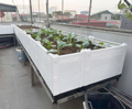 Chậu ghép thông minh HDPE lắp theo yêu cầu - Ảnh 4
