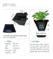 Chậu ốp tường trồng cây 20x20 có móc cài lắp đặt rất dễ - Ảnh 8
