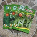Combo 10 loại hạt giống rau dễ trồng giải nhiệt cho mùa hè - Ảnh 3