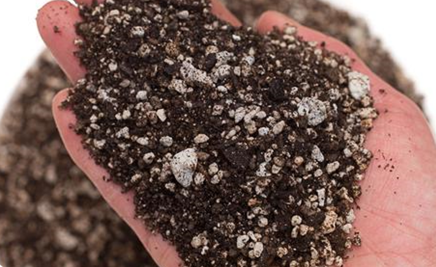 Giá thể trộn pumice trồng cây, trồng sen đá, trồng xương rồng