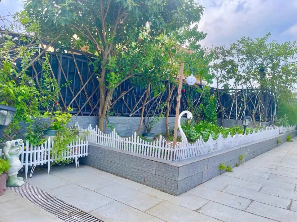 Hàng rào nhựa bền bỉ, trang trí bồn cây