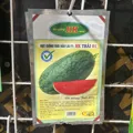 Hạt giống dưa hấu ruột đỏ - Ảnh 2