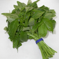 Hạt giống rau dền khoang - Ảnh 4