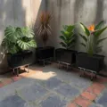 Kệ inox thiết kế bo tròn cho chậu trồng cây 32 lít - Ảnh 6