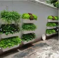 Kệ đứng trồng rau inox 3 tầng ốp tường - Ảnh 7